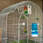 Da Marco Bed & Breakfast *